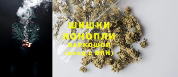 бошки Алексин