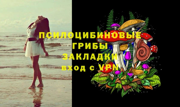 бошки Алексин