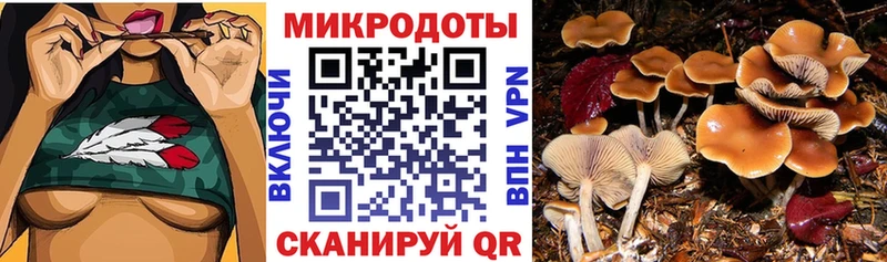 Галлюциногенные грибы GOLDEN TEACHER Ардатов